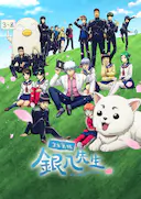 3年Z组银八老师