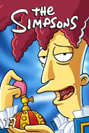 辛普森一家 第十七季