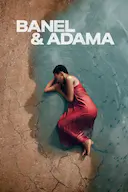 贝内尔和阿达玛