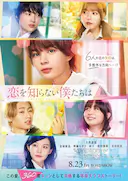 不知恋爱的我们