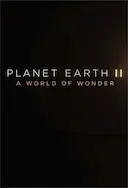 地球脉动2:奇迹世界