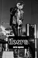 大门乐队:门已开启