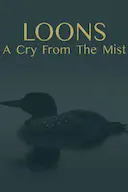 Loons: A Cry from the Mist