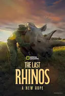 最后的犀牛:新希望