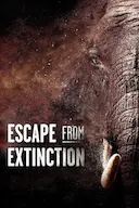 Escape from Extinction