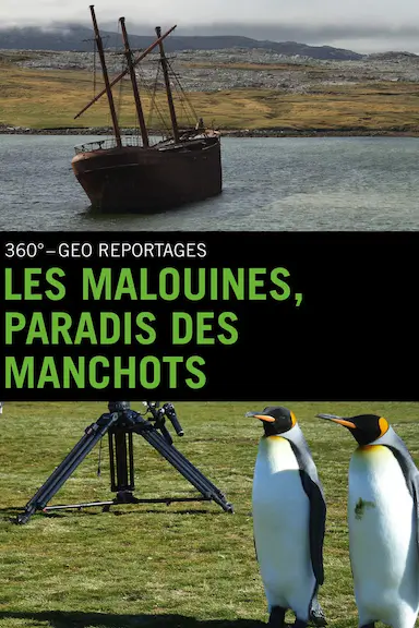 企鹅之岛:福克兰