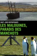 企鹅之岛:福克兰