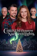北极光下的圣诞节