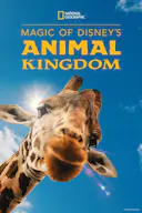 迪士尼动物王国 第二季