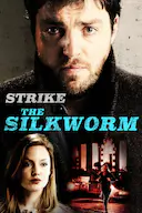 斯特莱克探案集:蚕 第二季