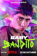 宝贝大盗 第二季