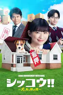 执行!!~狗和我和执行官~