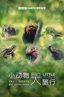 小动物 大旅行 第一季