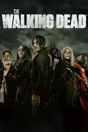 行尸走肉 第十一季