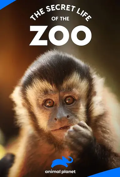 动物园的秘密生活 第一季