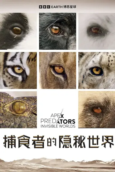 捕食者的隐秘世界