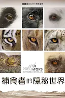 捕食者的隐秘世界