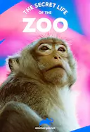 动物园的秘密生活 第三季