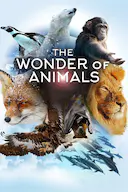 神奇动物大揭秘