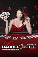 女单身汉 日本版