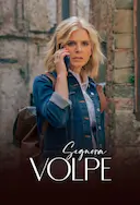 狐狸女士 第二季