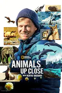 贝尔蒂·格雷戈里:与动物零距离