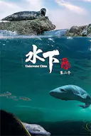 水下中国 第二季