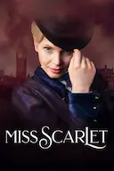 斯嘉丽小姐探案集 第五季