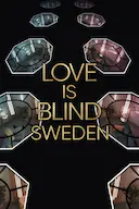 爱情盲选:瑞典篇