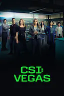 犯罪现场调查:维加斯 第二季