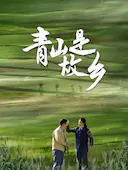 青山是故乡