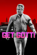 恐惧之城:纽约黑帮教父落网记