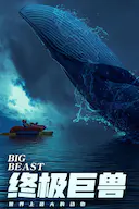 终极巨兽:世界上最大的动物