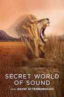 大卫·艾登堡:大自然的声音