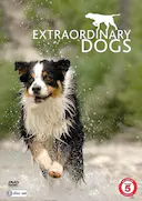 非凡的狗儿 第一季