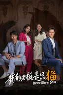 我的老板是只猫