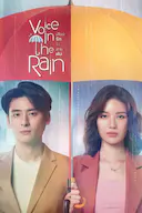 雨中听我说爱你