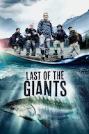 追踪巨型鱼 第一季