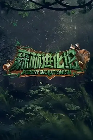 森林进化论