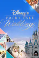 迪士尼童话婚礼