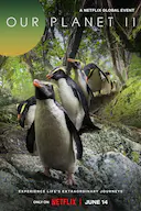我们的星球 第二季