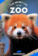 动物园的秘密生活 第四季