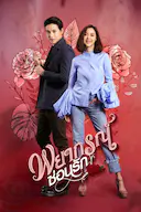 玫瑰奇缘恋与大明星